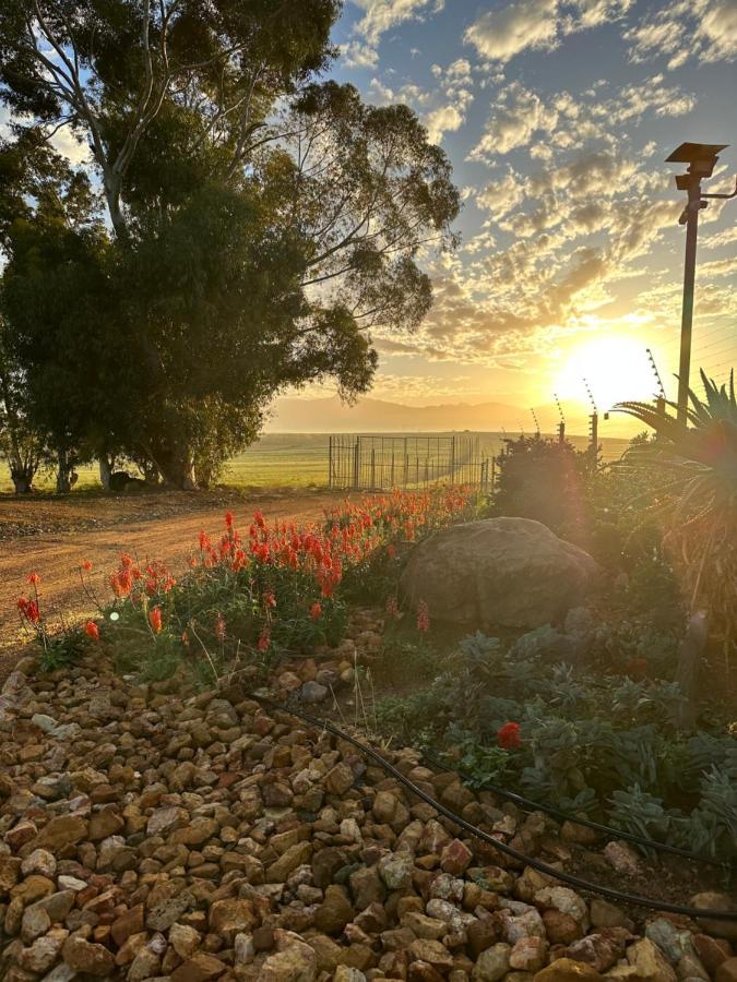 Primo Farm Appartement Paarl Buitenkant foto